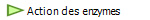  Action des enzymes