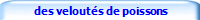 des veloutés de poissons
