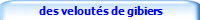 des velouts de gibiers