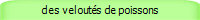 des veloutés de poissons