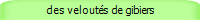 des velouts de gibiers